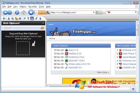 Screenshot Flock untuk Windows 7