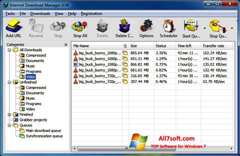 Screenshot Internet Download Manager untuk Windows 7