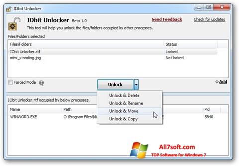 Screenshot IObit Unlocker untuk Windows 7
