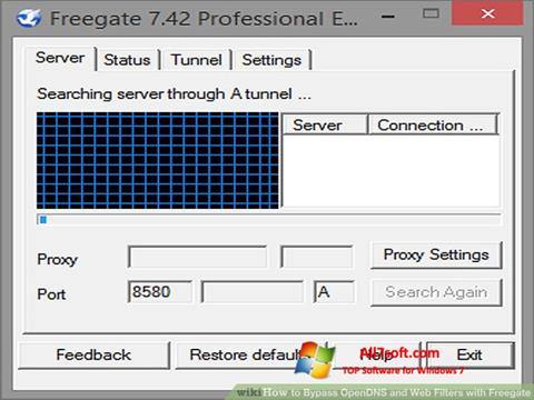 Screenshot Freegate untuk Windows 7
